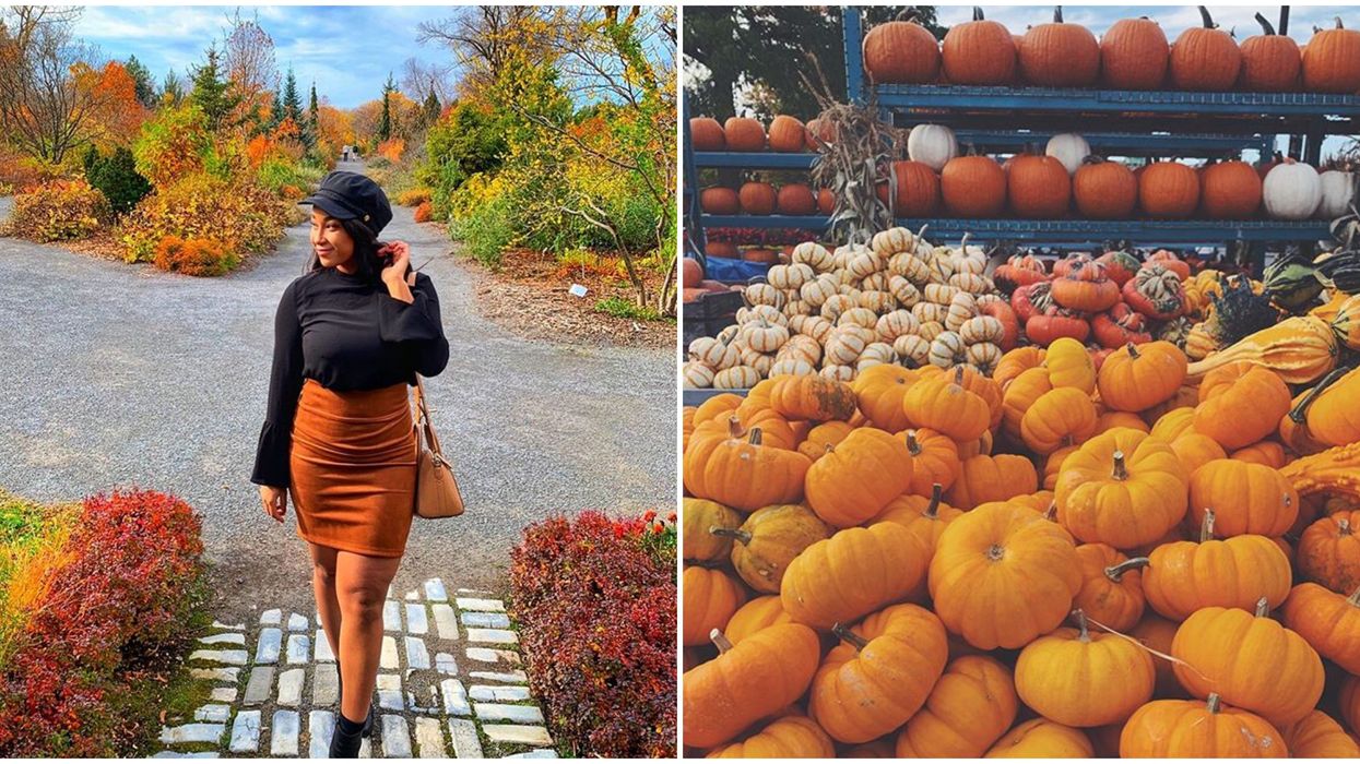 11 dates romantique à Montréal à faire cet automne