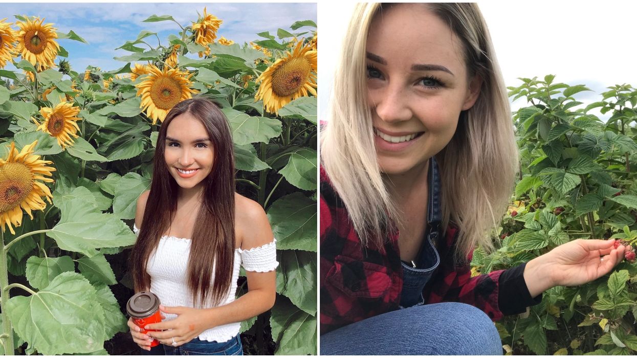 11 Things To Do In Edmonton This Weekend While The Sun Is Still Here