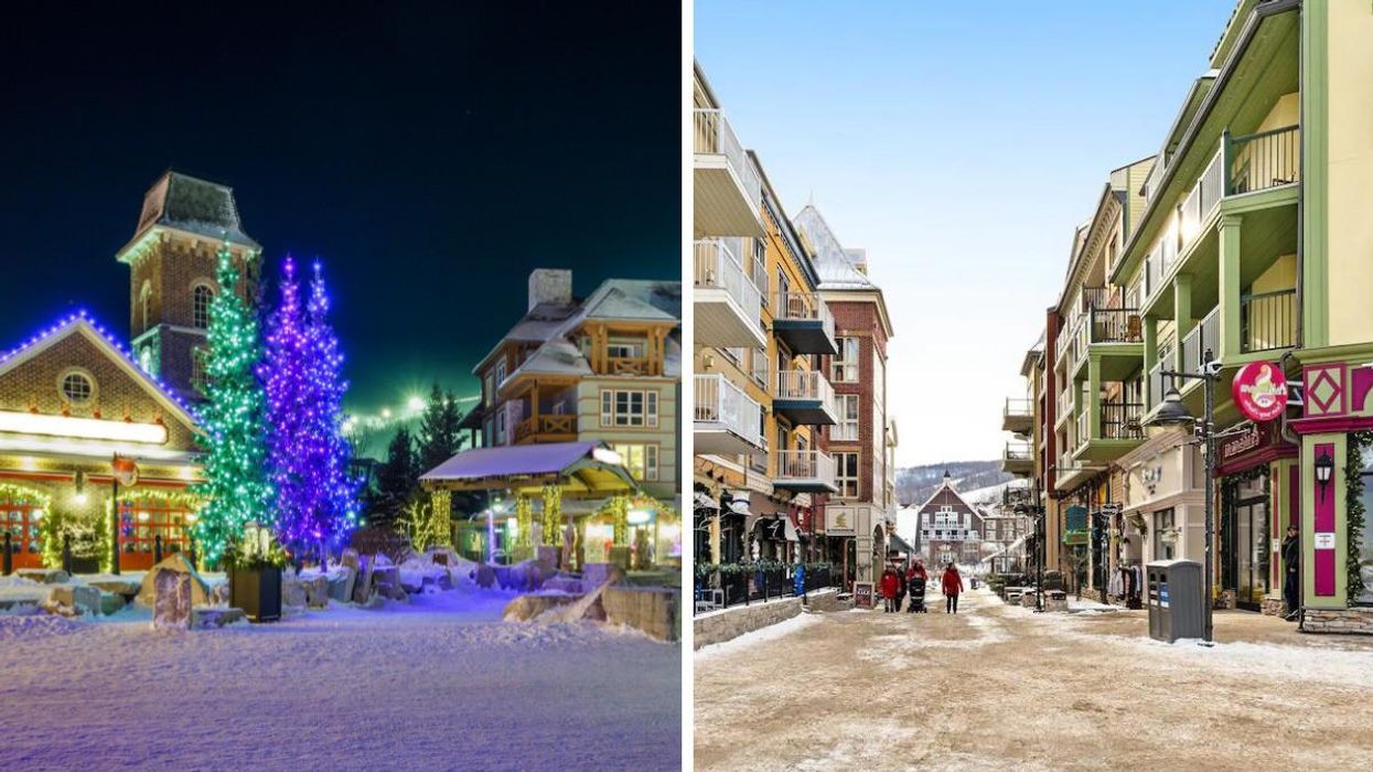 11 Top-Rated Rentals Near Blue Mountain That Start At Just $157