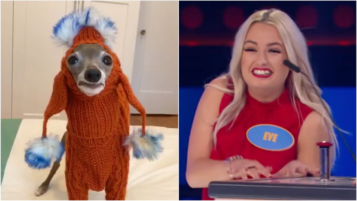 11 Viral Videos From 2020 That Sum Up The Year We've Had In Canada (VIDEOS)