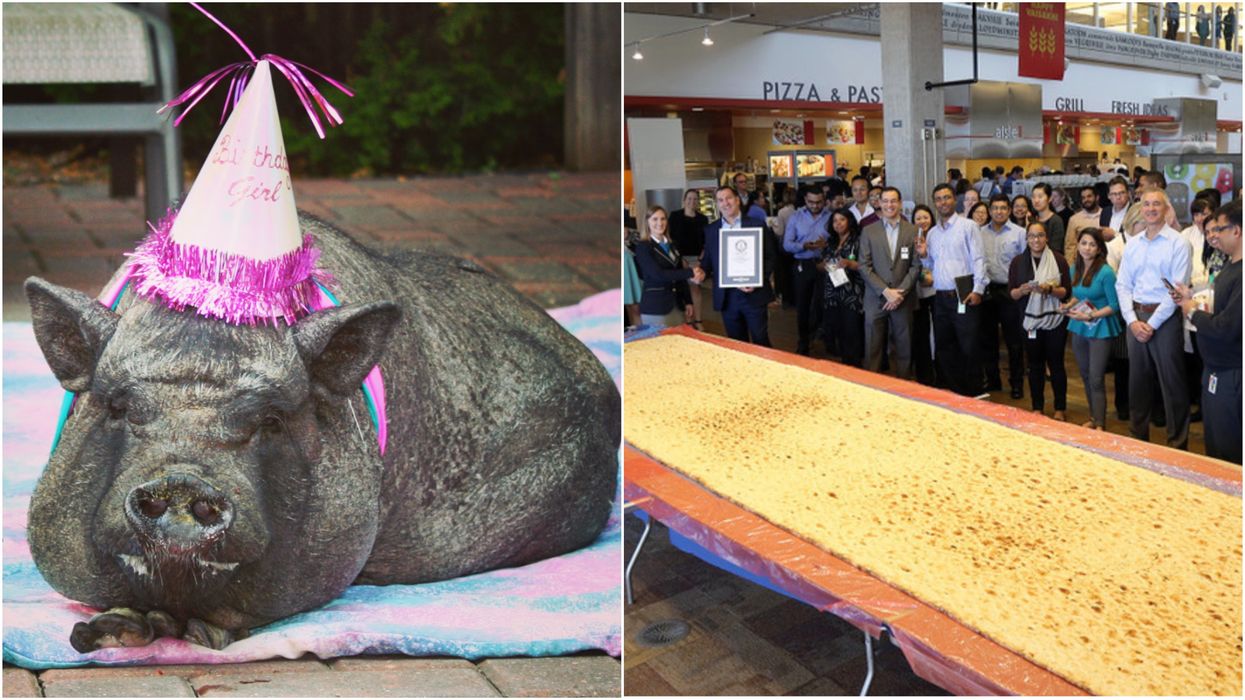 11 World Records In Canada That Are Totally Bizarre But Still Pretty Cool (PHOTOS)