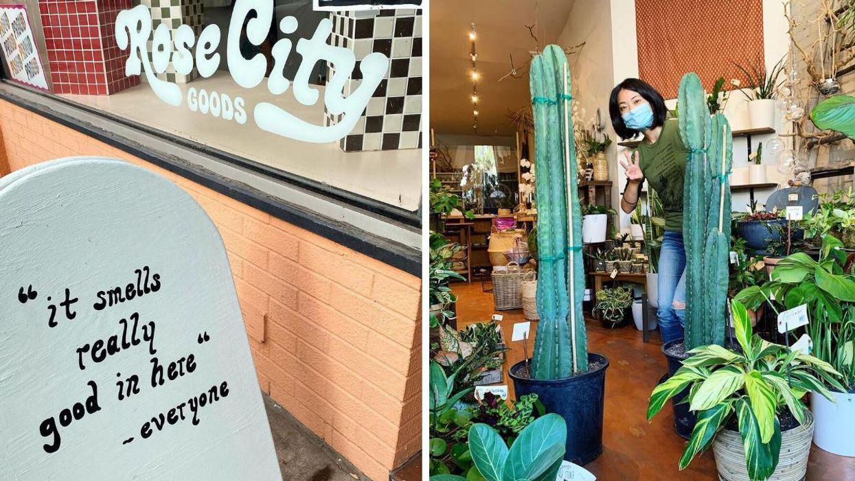 15 Small Businesses In Toronto That Offer Delivery So You Can Shop Local Without Getting Out Of Bed
