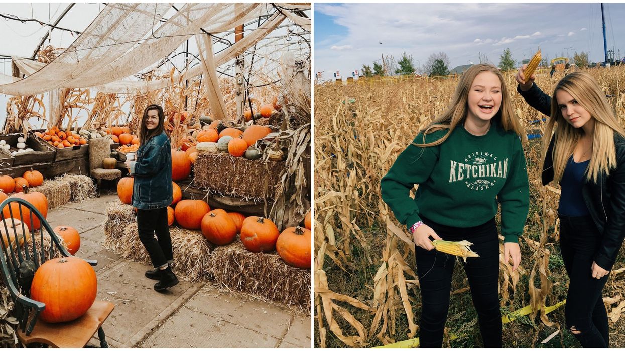 18 Fall Activities In Alberta That You Had To Add To Your Bucket List