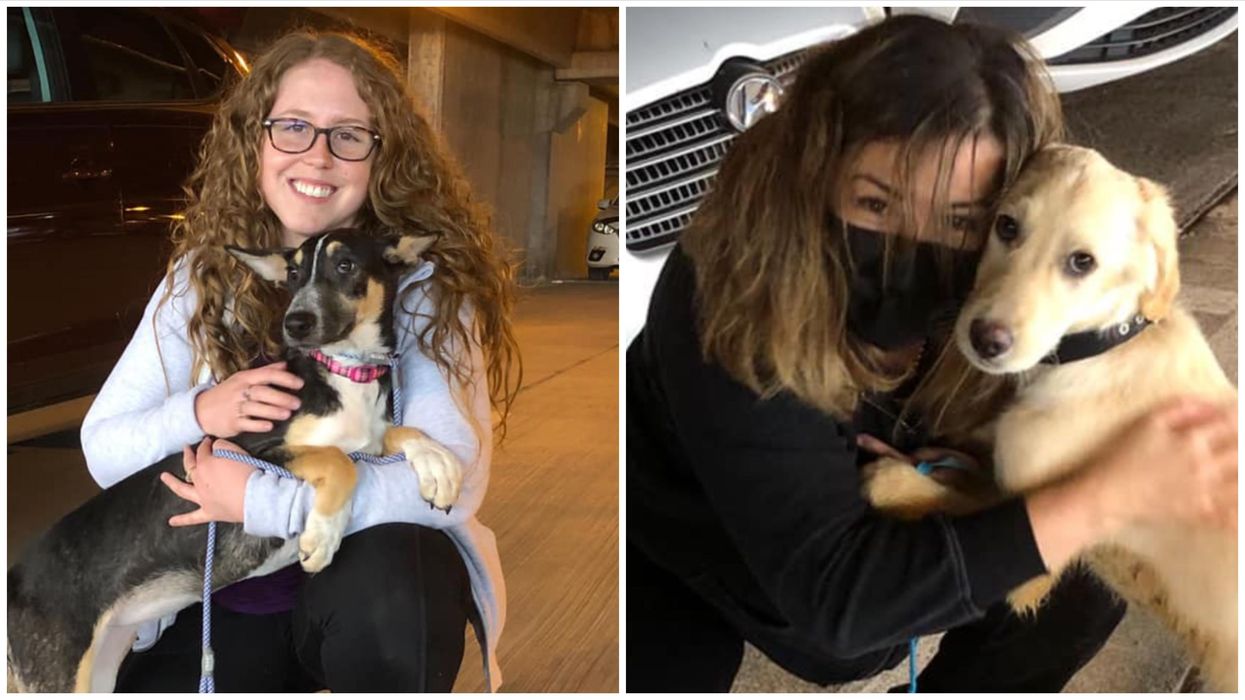 19 Rescue Dogs In Canada Just Met Their Forever Families (PHOTOS)