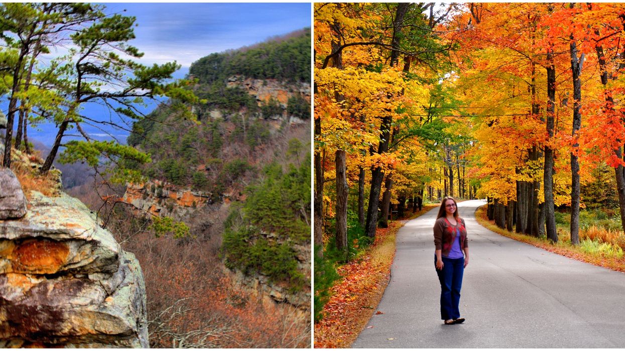 2020 Fall Foliage Map Predictions For Georgia Show Peak Times For Your Autumn Plans