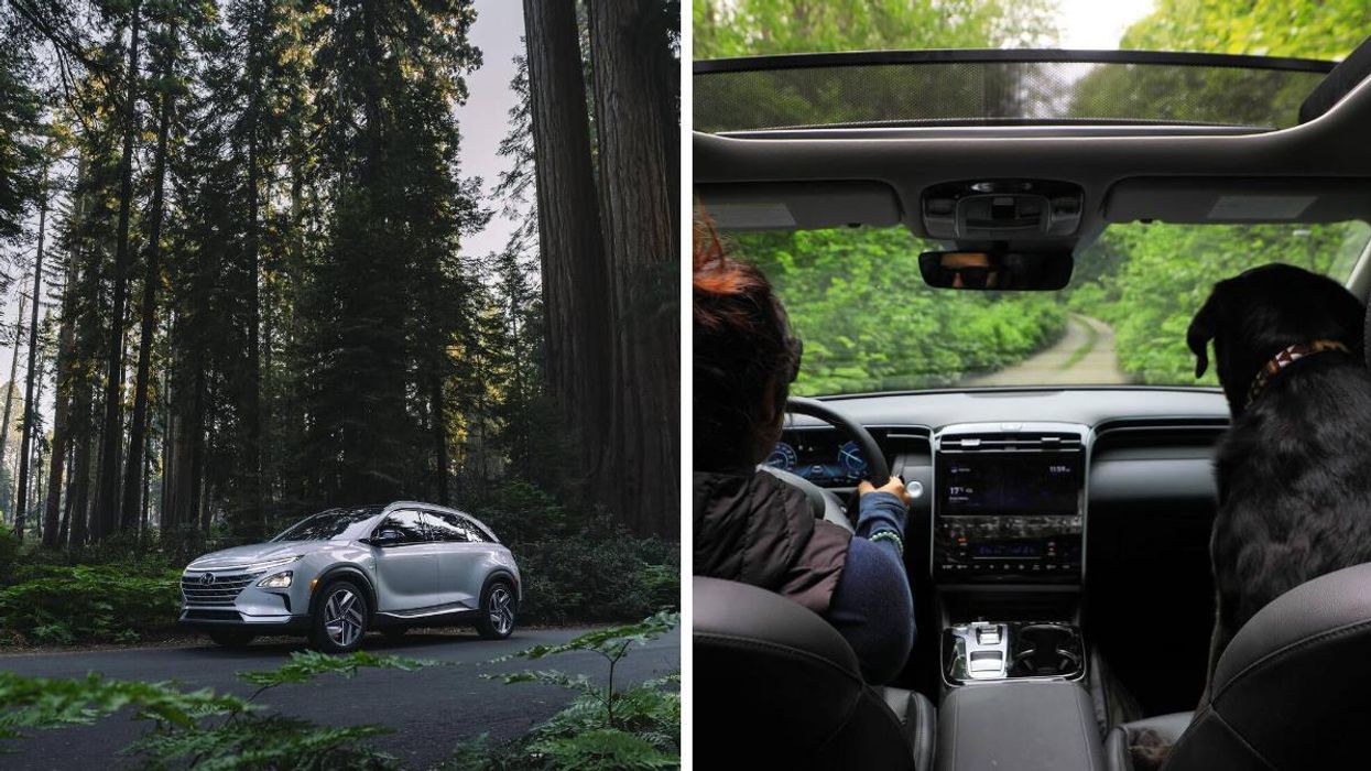 49 % des lecteurs de Narcity Québec envisagent d'acheter une voiture électrique et voici pourquoi