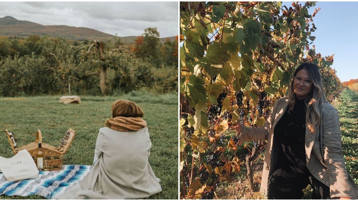 6 beaux vignobles du Québec pour le road trip automnal parfait
