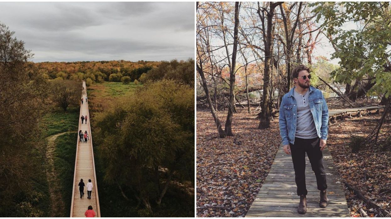 6 charmantes passerelles du Québec à mettre sur ta bucket list de l'automne