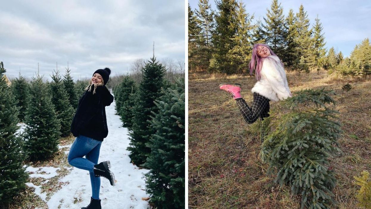 6 Christmas Tree Farms Near Ottawa That Will Get You In The Festive Spirit