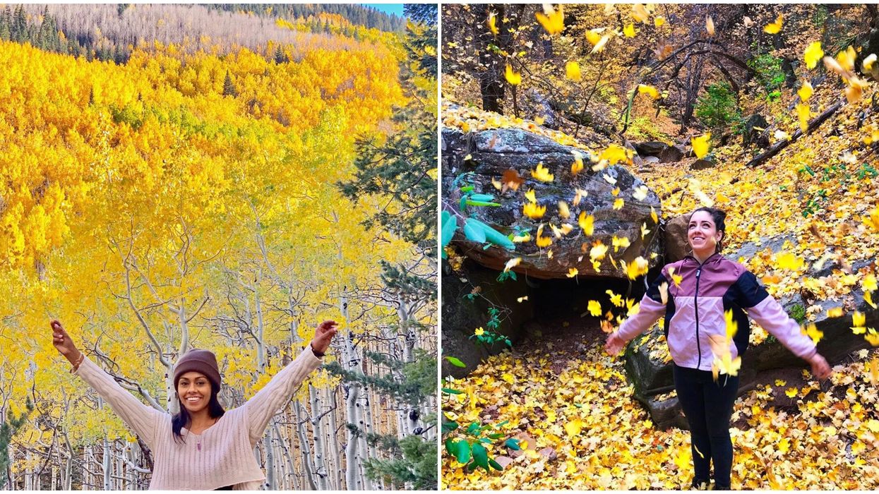 6 Fall Hikes In Arizona With Stunning Autumn Views