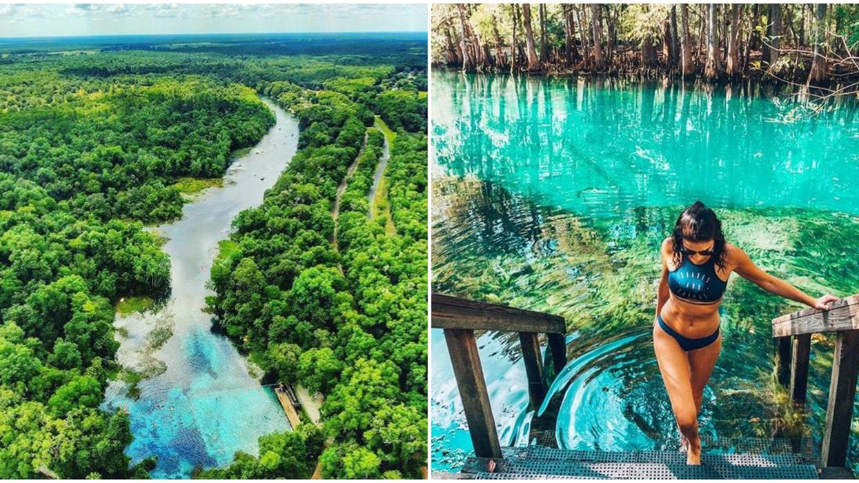 6 Florida Springs Swimming Spots Just A Short Drive From Tampa To Float The Days Away