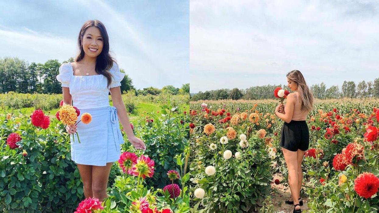 6 Ontario Flower Farms Where You Can Pick Your Own Blooms