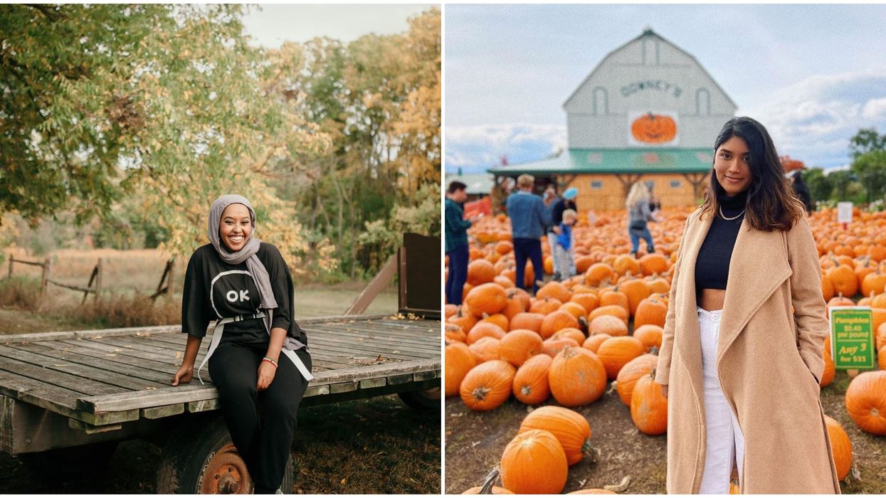 6 Picture Perfect Pumpkin Patches Across Canada To Put On Your Fall Bucket List