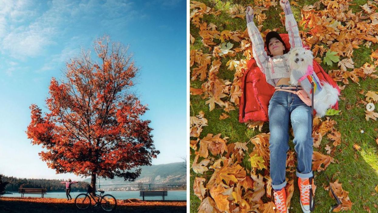 6 Places To Visit In BC If You Love Epic Fall Views But Are Too Lazy For Hiking