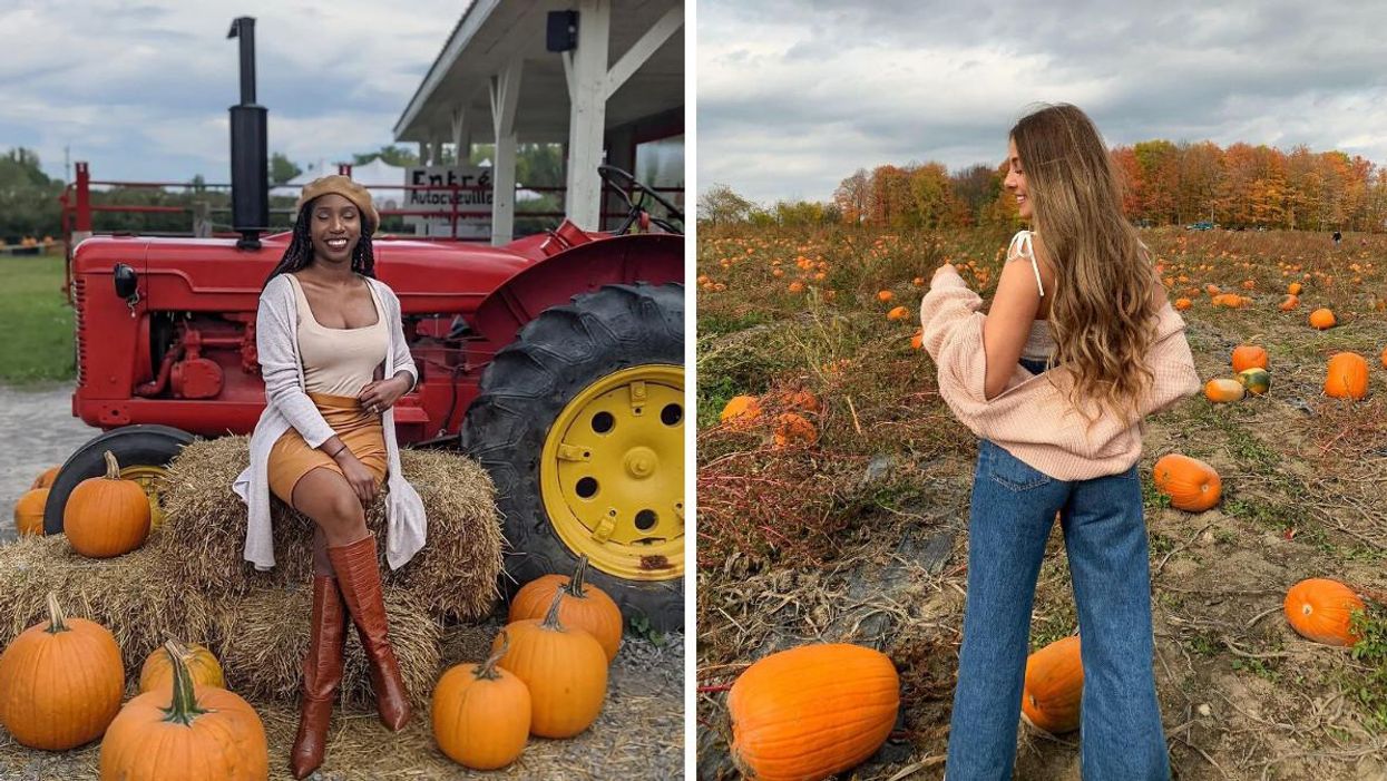 6 places vraiment « cute » où cueillir des citrouilles avec ta personne près de Montréal