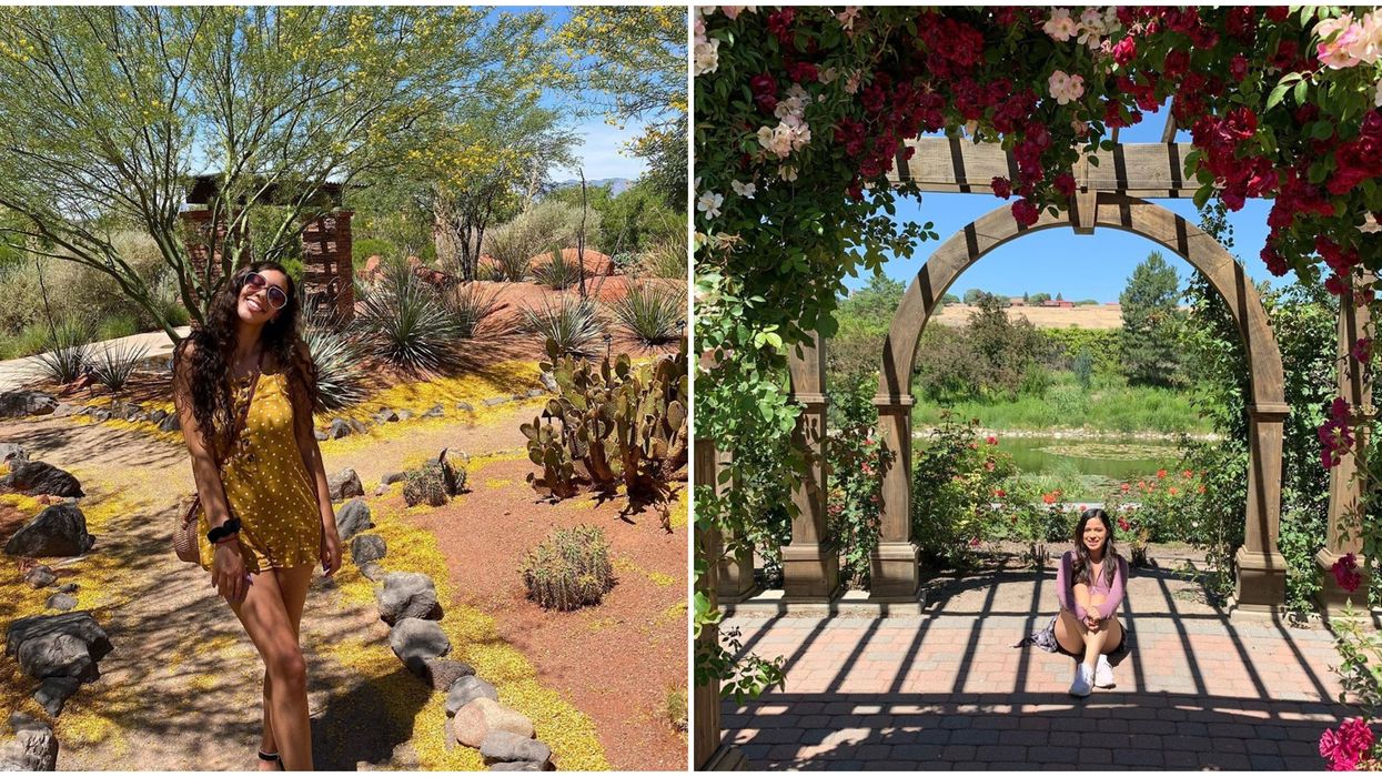 6 Salt Lake City Gardens You Can Visit For A Dreamy Day Among The Flowers