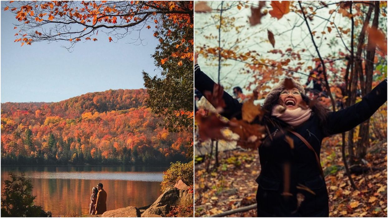 6 Scenic Drives Near Ottawa Where You Can Discover Breathtaking Sights From Your Car