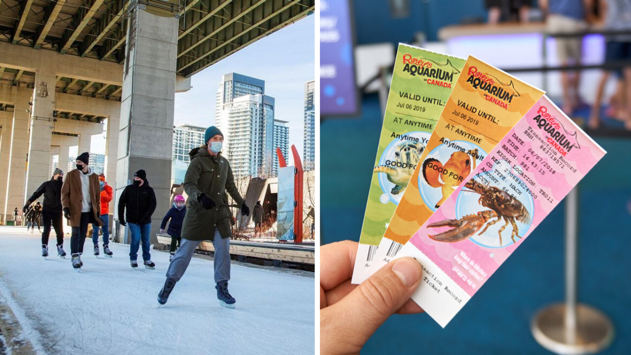 6 Things To Do For Family Day Weekend In Toronto That Will Cure The Winter Blues