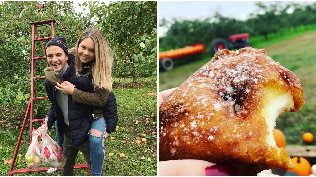 6 vergers abordables où forcer ta personne préférée à aller sur la Rive-Nord de Montréal