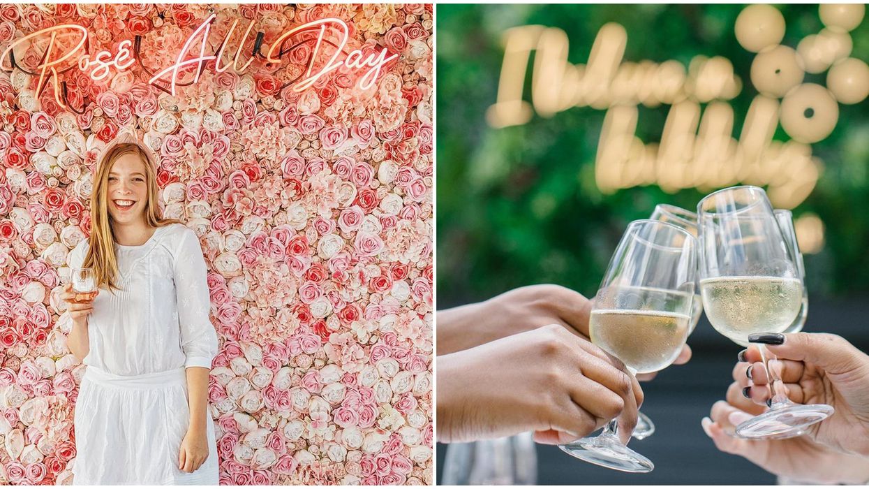 6 Wines At The LCBO Under $20 To Drink Over The Holidays