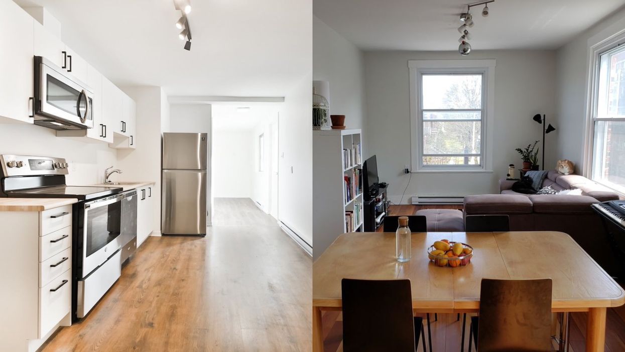 7 appartements à Montréal à moins de 900 $ qui acceptent les animaux