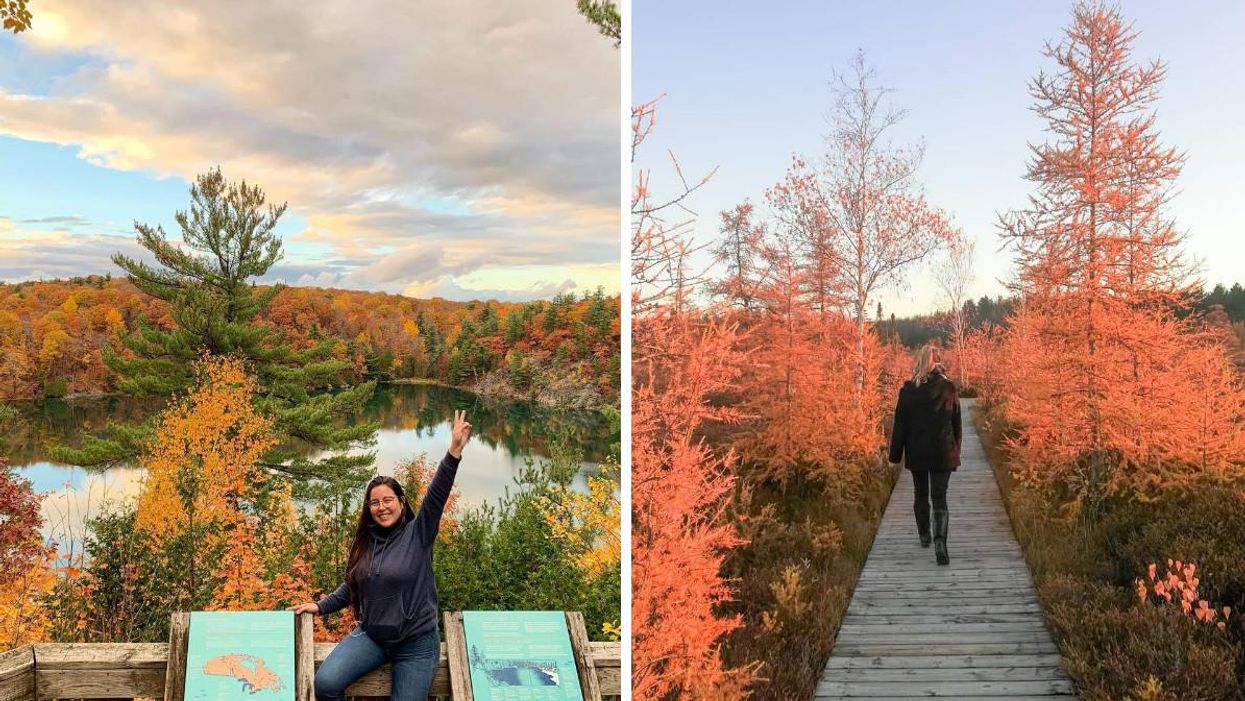 7 Boardwalks Around Ottawa That Will Lead You To Spectacular Fall Views