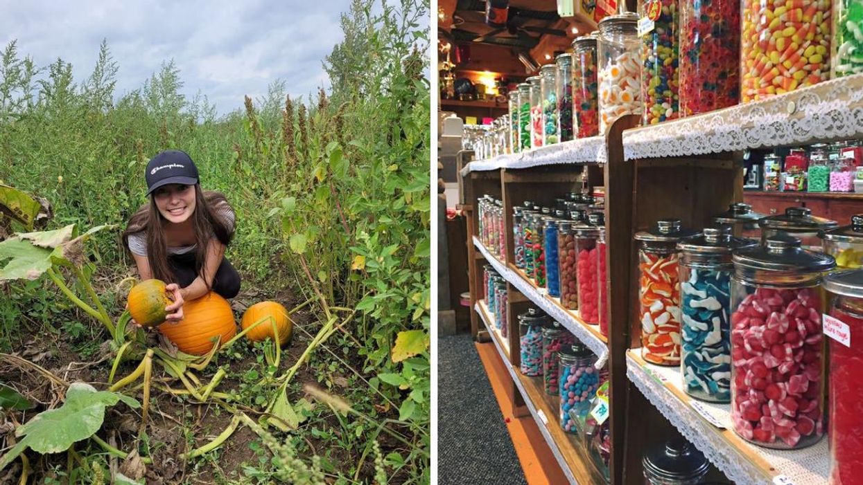 7 choses à faire sur la Rive-Sud de Montréal ce week-end pour t'amuser au max