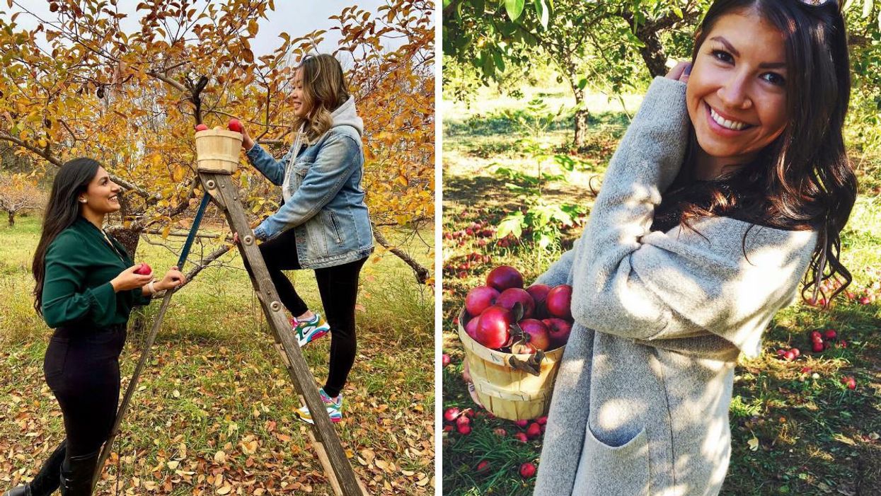 7 Cute Spots To Go Apple Picking Around Ottawa This Fall