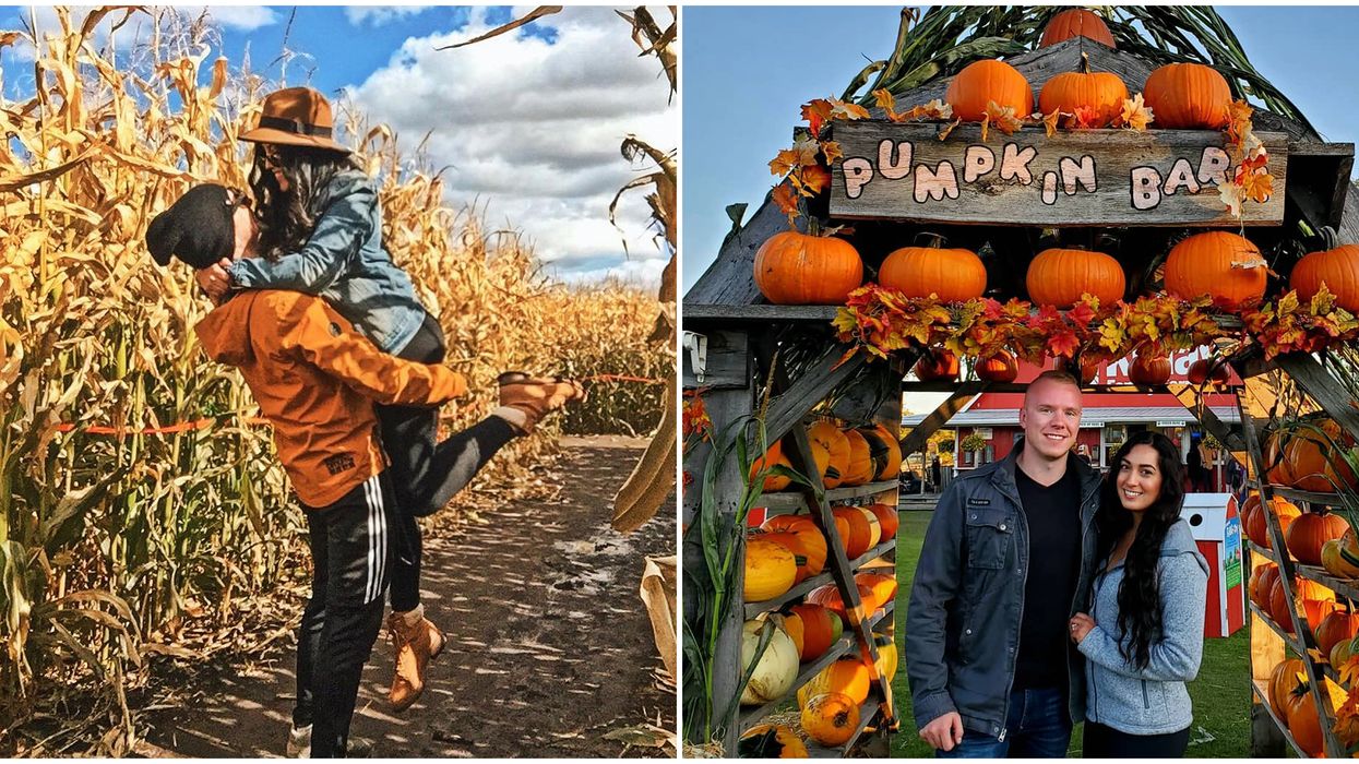 7 Date Ideas In Edmonton For You & Your Favourite Person This Fall