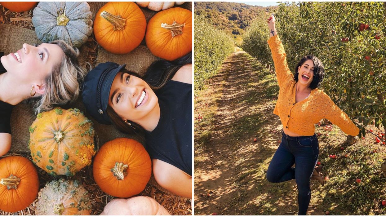 7 Fall Activities To Do In California While Sipping A PSL