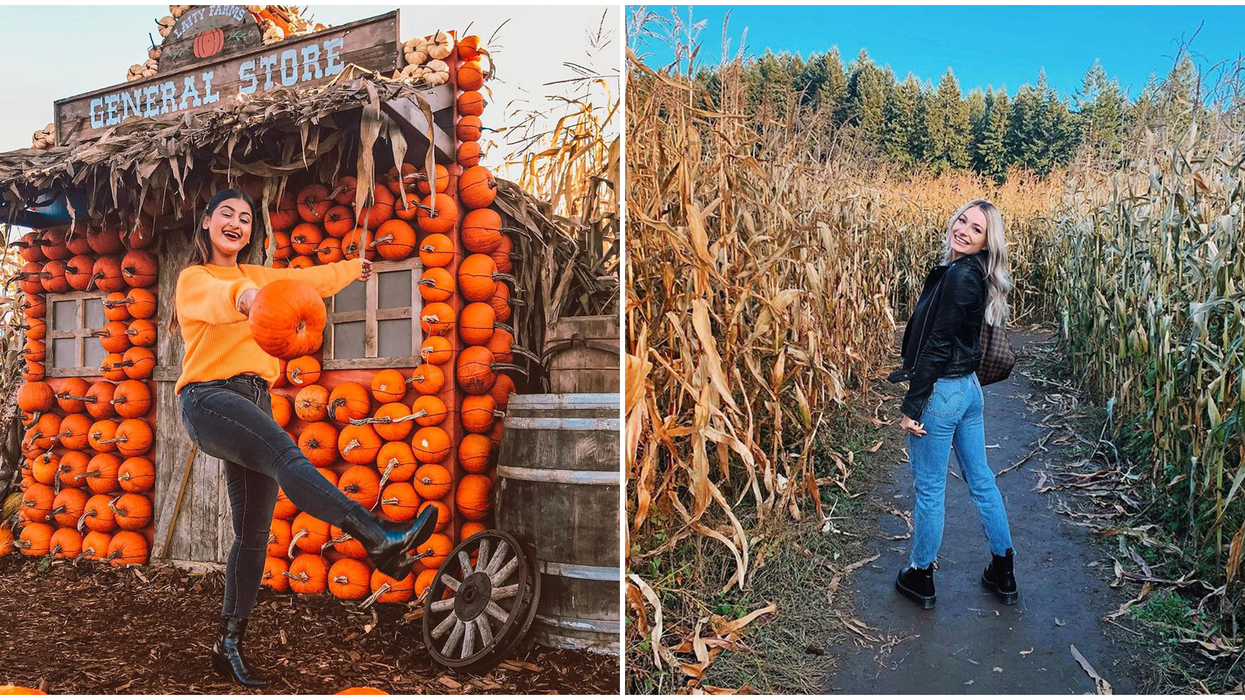 7 Fall Attractions In B.C. That Are Simply A-maize-ing