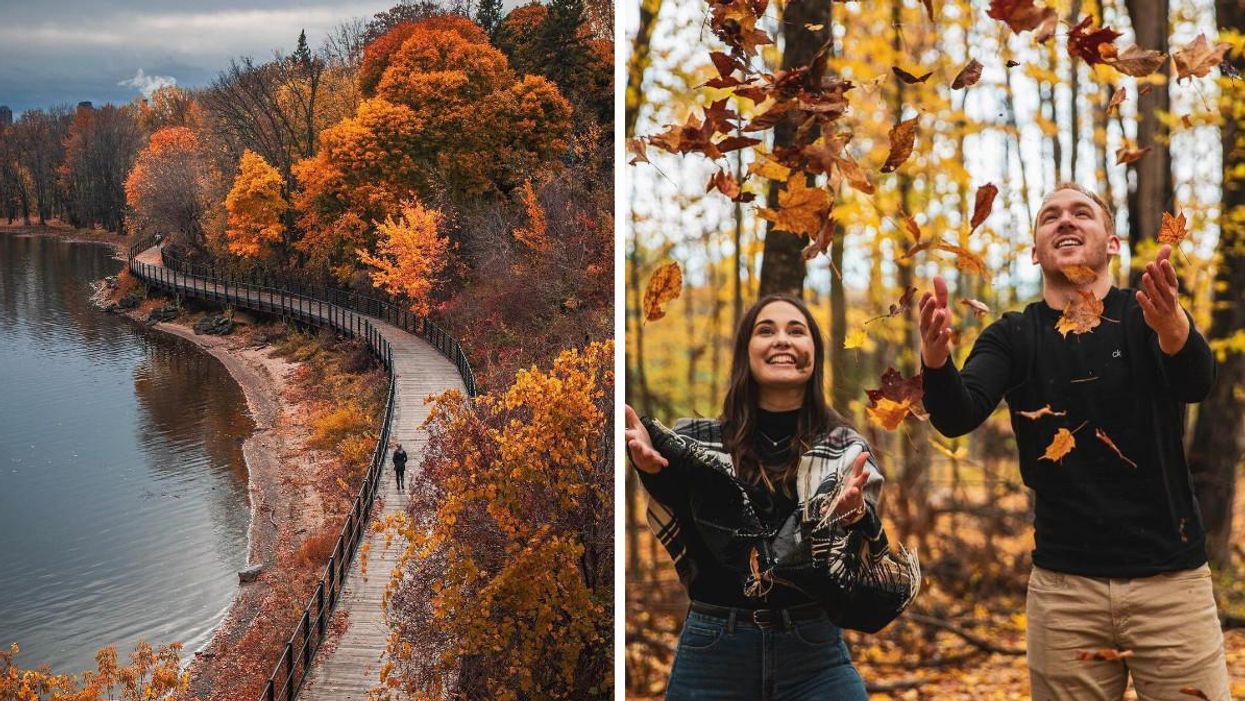 7 Fall Hikes Around Ottawa That Are Actually Accessible By Public Transit