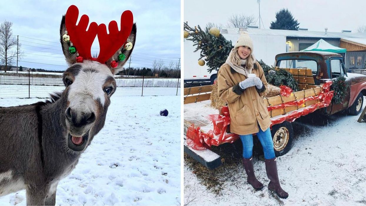 7 Farms Near Toronto That Have Turned Into Cute Little Christmas Villages This Season