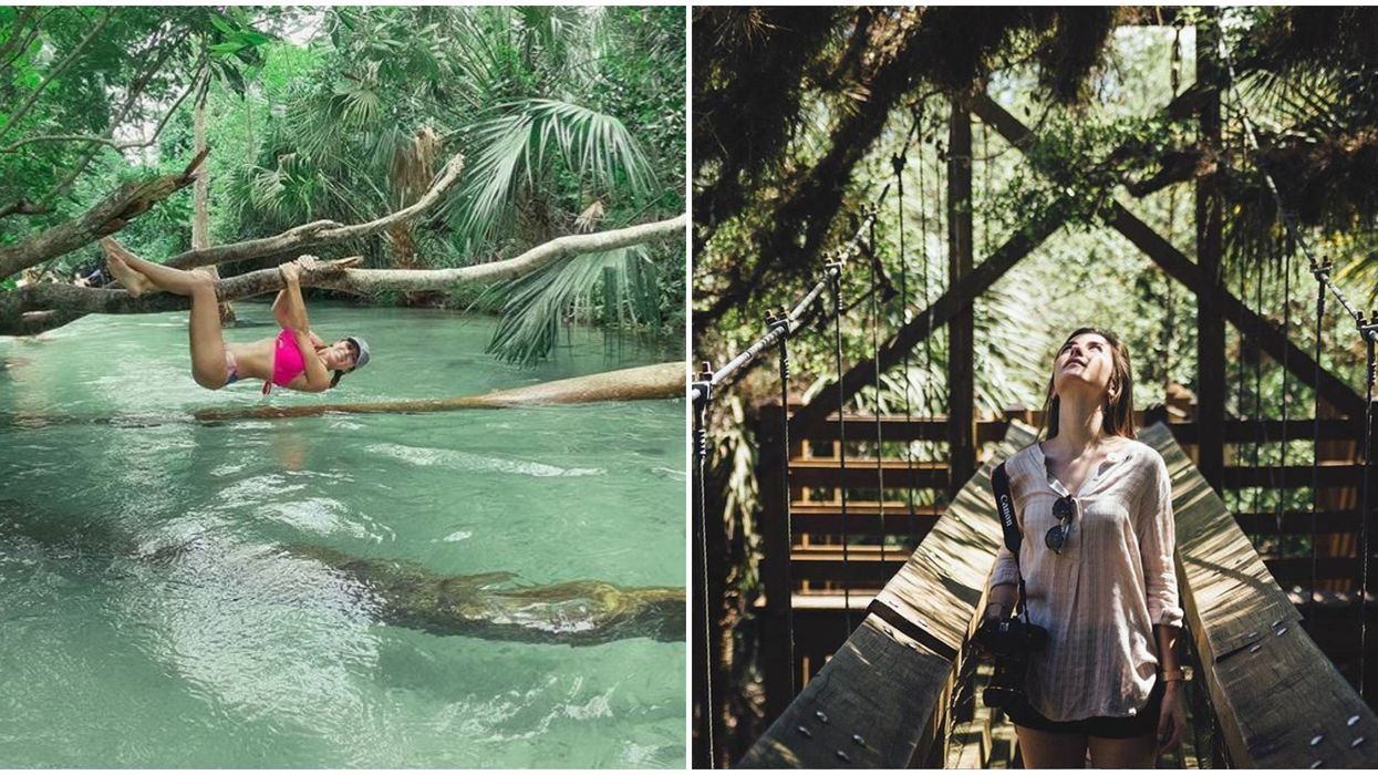 7 Florida Jungles For The Ultimate Nature Escape