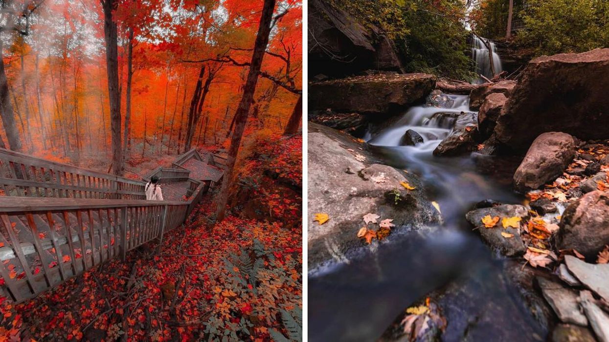 7 Forest Hikes Near Toronto Where You Can Wander Beneath A Canopy Of Red & Orange
