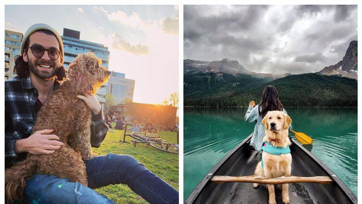 7 Fun Things To Do With Your Dog This Summer In Canada
