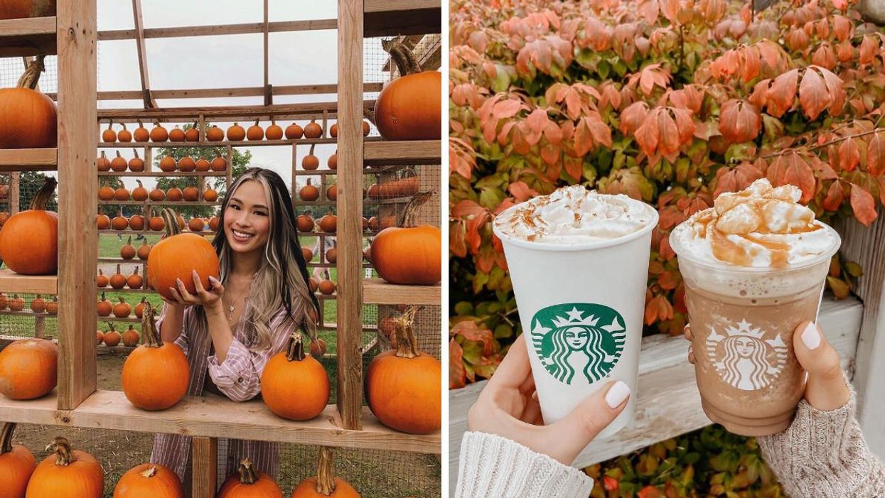 7 Fun Ways to Celebrate National Pumpkin Day This Month In Canada
