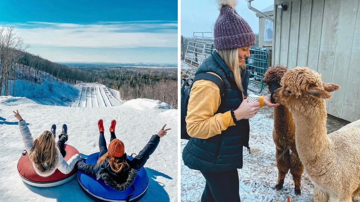7 Incredible Winter Activities Around Toronto That You Can Enjoy For $30 Or Less