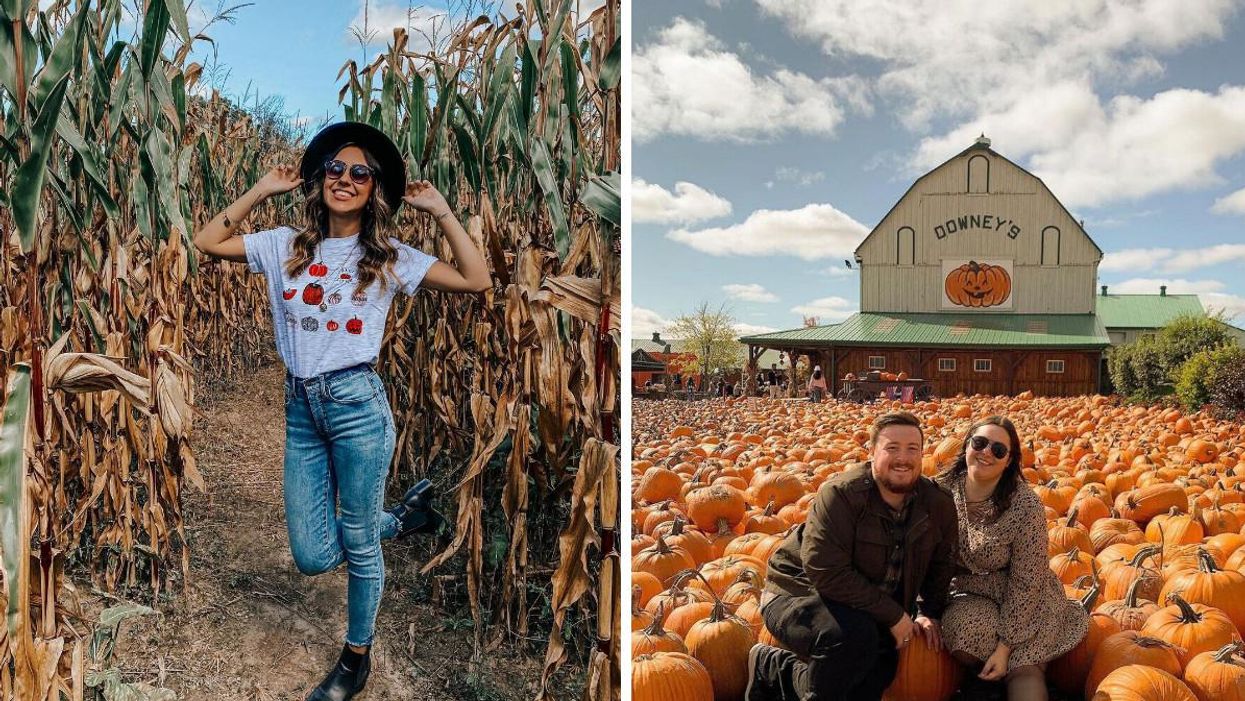 7 Of The GTA’s Most Instagrammable Pick-Your-Own Farms You Can Visit This Fall