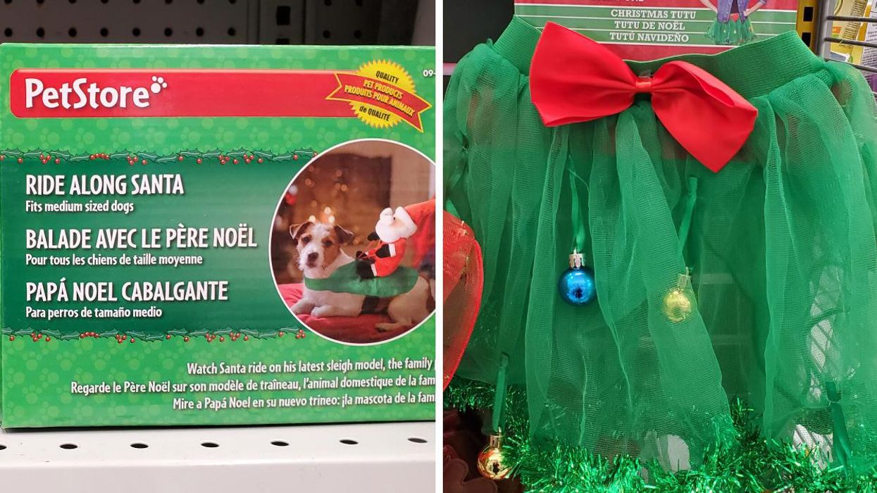 7 Of The Wildest Holiday Items You Can Actually Get At Dollarama Right Now