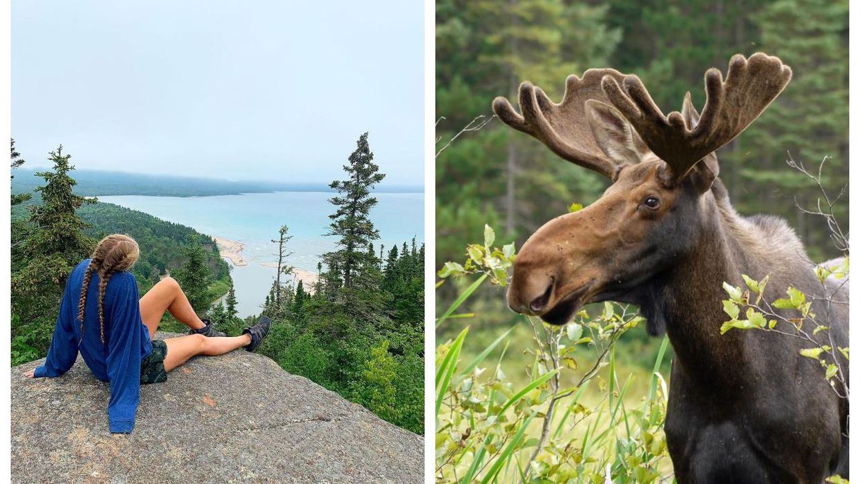 7 Places In Ontario To Go Wildlife Spotting