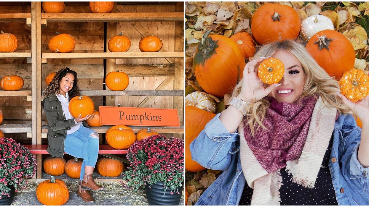 7 Pumpkin Patches In Alberta That Are So Worth The Drive This Fall