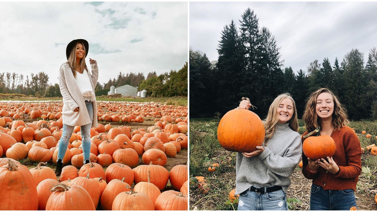 7 Pumpkin Patches In BC That You Need To Visit If Fall Is Your Favourite Season