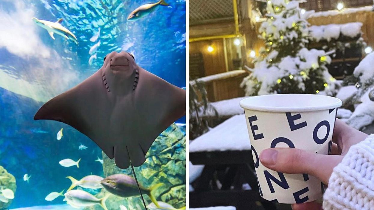 7 Snow Day Activities In Toronto That Aren't Just Binge-Watching Netflix Shows