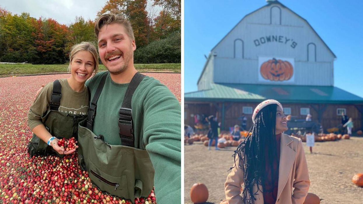 7 Things To Do In Ontario This Fall That Are Affordable & Super Fun