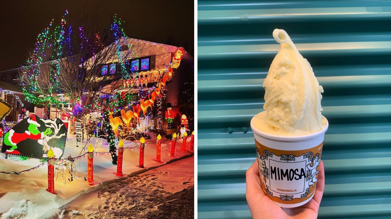 7 Things To Do In Ottawa This Weekend After You've Opened All Your Presents