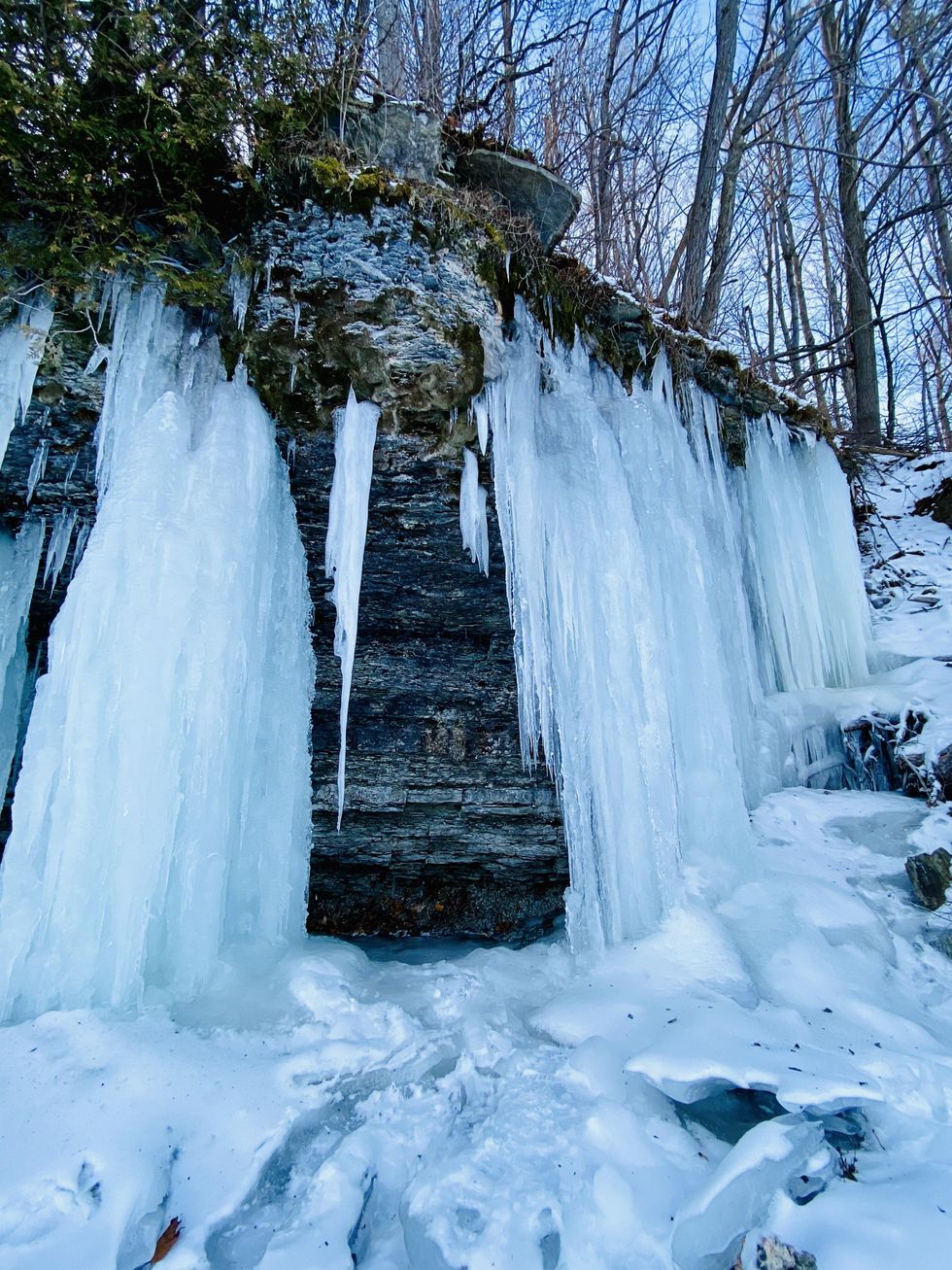 7 Things To Do In Ottawa This Weekend If You're Feeling Stuck At Home