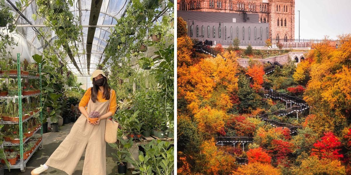 7 Things To Do In Ottawa This Weekend That Will Make You Monday Exists Narcity 7 Things To Do In Ottawa This Weekend That Will Make You Monday Exists Narcity
