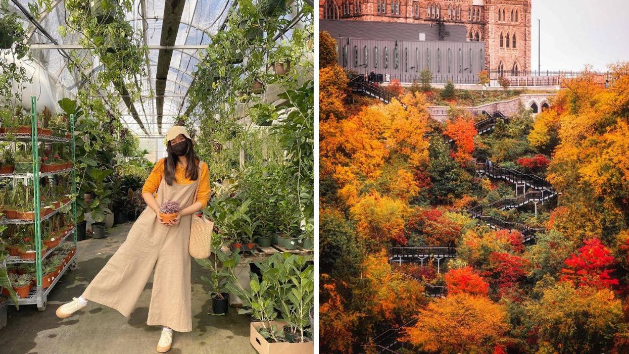 7 Things To Do In Ottawa This Weekend That Will Make You Forget Monday Exists