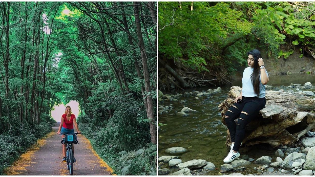 7 Things To Do In Toronto This Weekend, August 14 To August 16